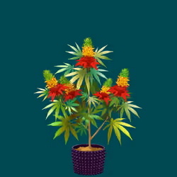 NFTokin #11899