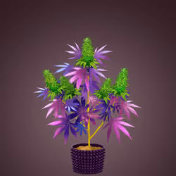 NFTokin #660