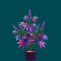 NFTokin #12656