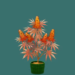 NFTokin #1230
