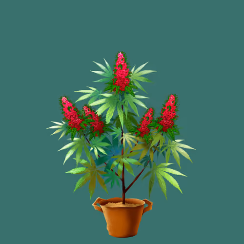 NFTokin #7103