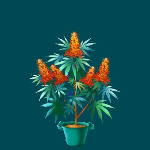 NFTokin #7249