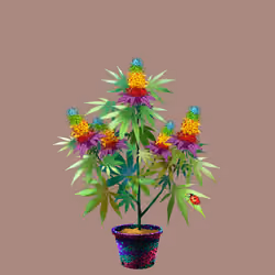NFTokin #10150