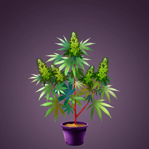 NFTokin #7459