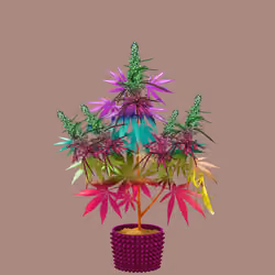 NFTokin #10505