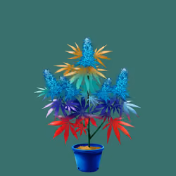 NFTokin #5129