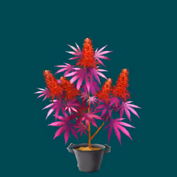 NFTokin #1464