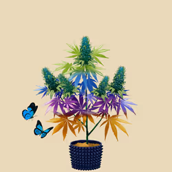 NFTokin #11987
