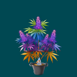 NFTokin #9050
