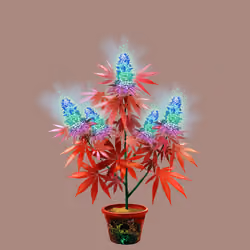 NFTokin #6132