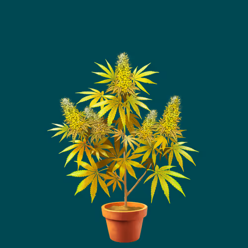 NFTokin #10130