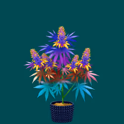 NFTokin #11826