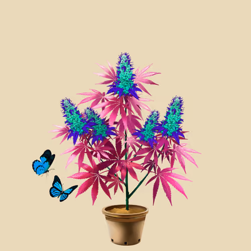 NFTokin #9395