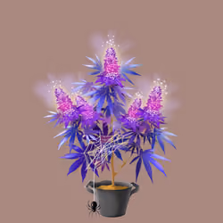 NFTokin #10914