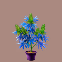 NFTokin #2971