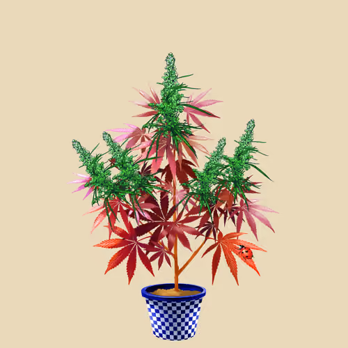 NFTokin #10275