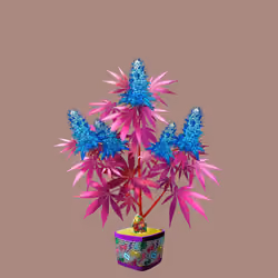 NFTokin #5010
