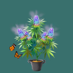 NFTokin #11463