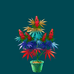 NFTokin #5118
