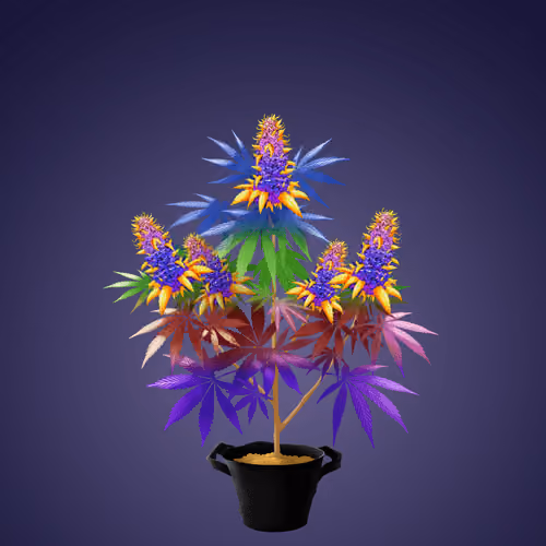 NFTokin #8241