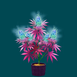 NFTokin #2783