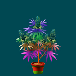 NFTokin #4978