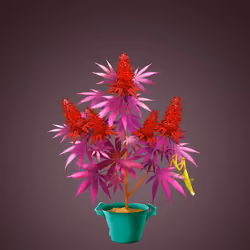 NFTokin #7654