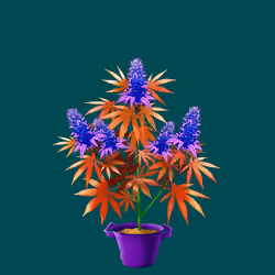 NFTokin #8925