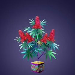 NFTokin #12245
