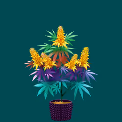 NFTokin #8932