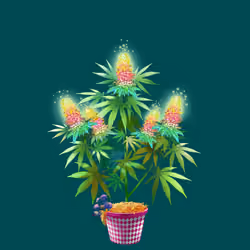 NFTokin #12558