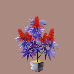 NFTokin #4222