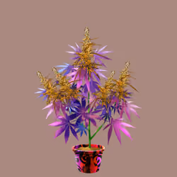 NFTokin #1498