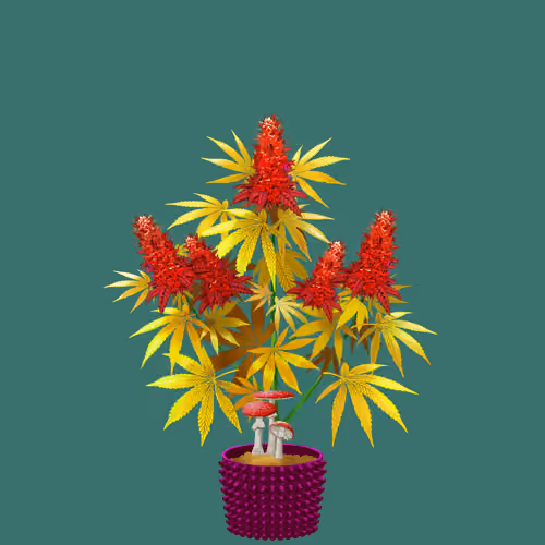 NFTokin #11348