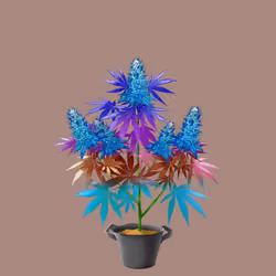 NFTokin #10614