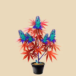 NFTokin #1407