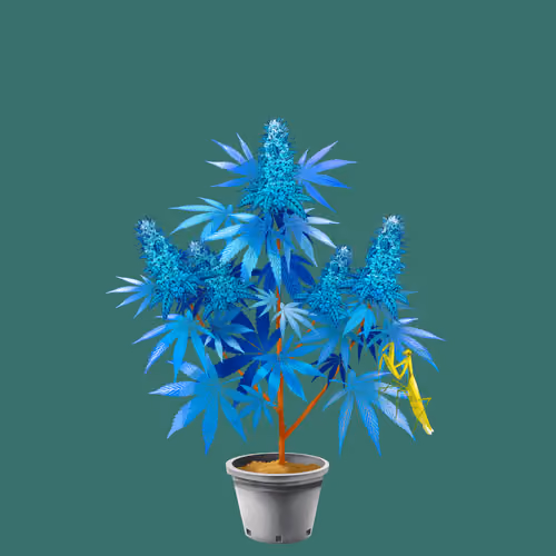 NFTokin #10301
