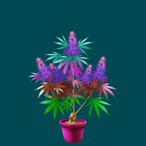 NFTokin #4494