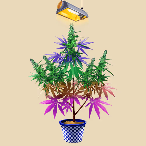 NFTokin #4404