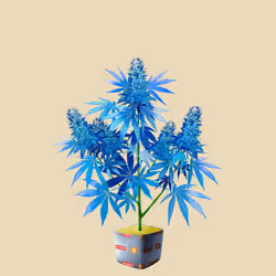NFTokin #1626