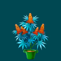 NFTokin #7963
