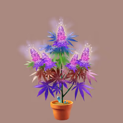 NFTokin #5882