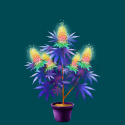 NFTokin #6808