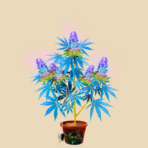 NFTokin #12760