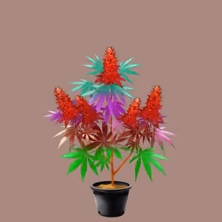 NFTokin #5827