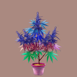 NFTokin #3326