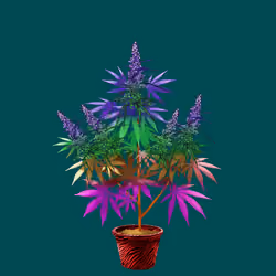 NFTokin #12106