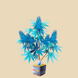 NFTokin #6604