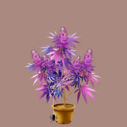 NFTokin #10382