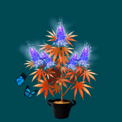 NFTokin #198
